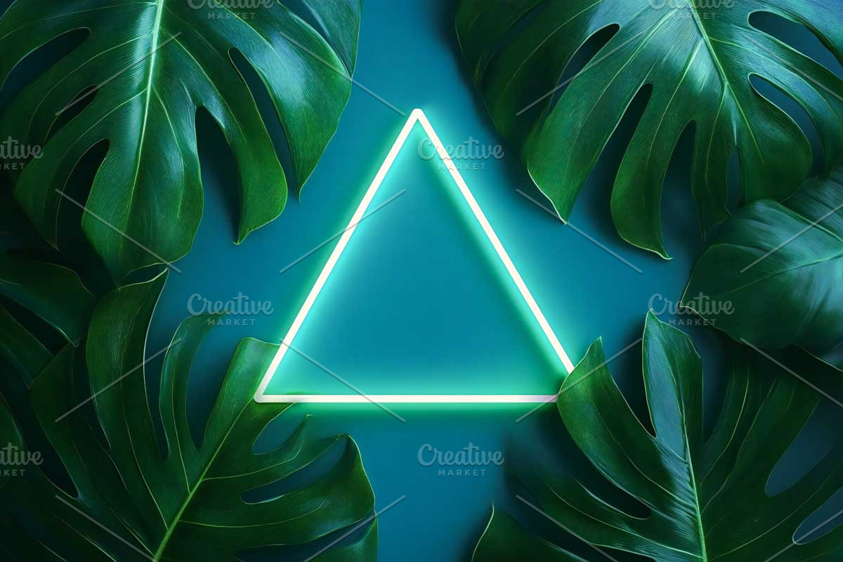 Frames in Neon Fluorescent Light, a Templates & Theme by VetalStock (Photo 4 of 5)