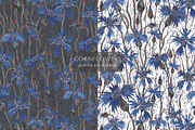 Pattern Cornflowers, an Illustration by PASHKOVA (Thumbnail 13 of 14)
