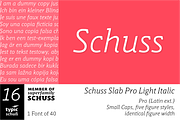 SchussSlabProLightIta No.16 (1 Font), a Slab Serif Font by typic schuss (Thumbnail 1 of 6)
