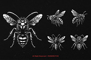 10 Bundle Dark Art Wasp Insect Skull, an Illustration by Morspective (Thumbnail 3 of 7)