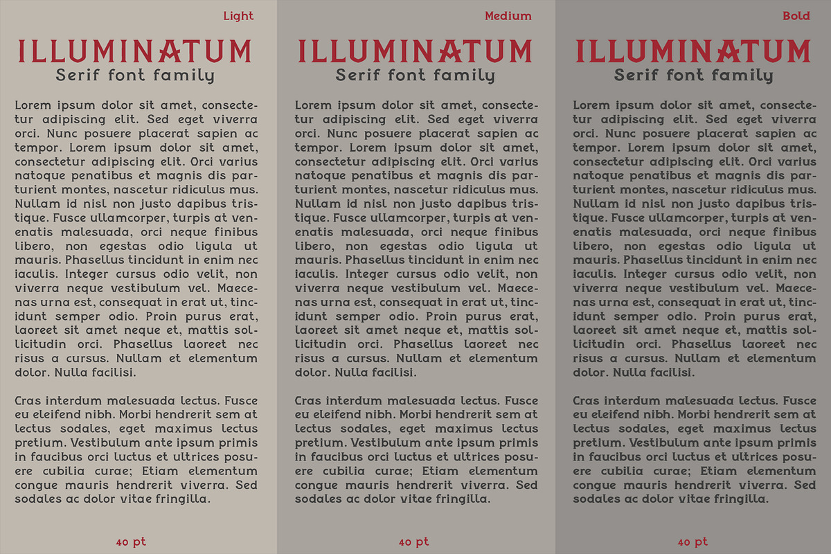 illuminatum - serif font family, a Serif Font by Artistic & Unique (Photo 13 of 14)