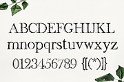 Quoth Font, a Serif Font by Storyteller Design (Thumbnail 2 of 9)