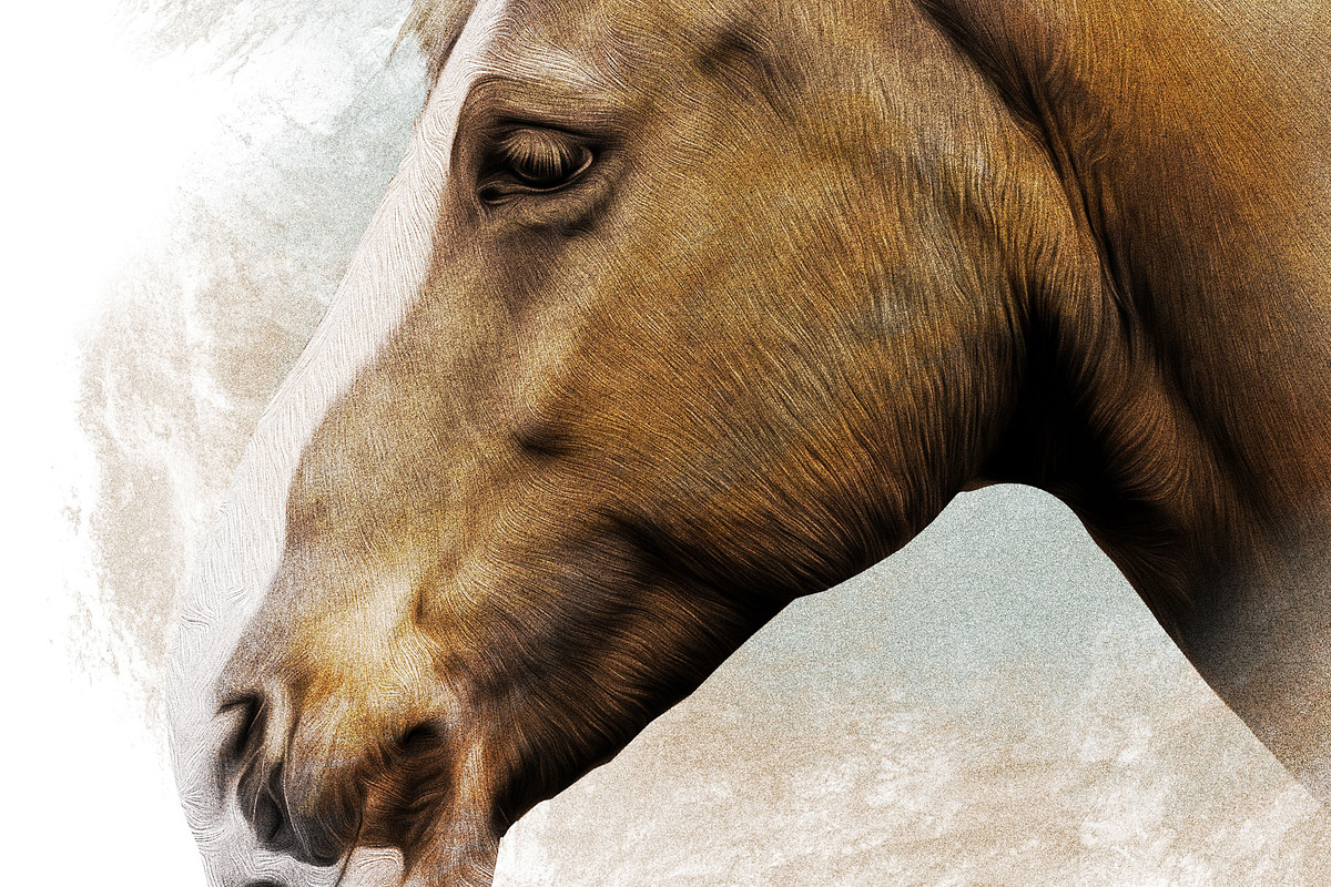 Horse Illustration, an Animal Illustration by Digital Art Downloads (Photo 4 of 4)
