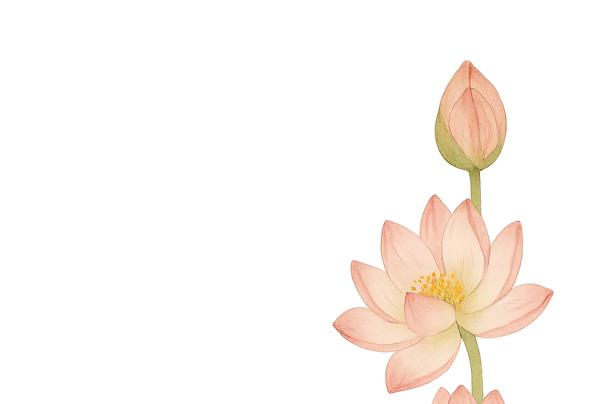 Lotus flowers on transparent backgro, an Illustration by Dvoevnore photos