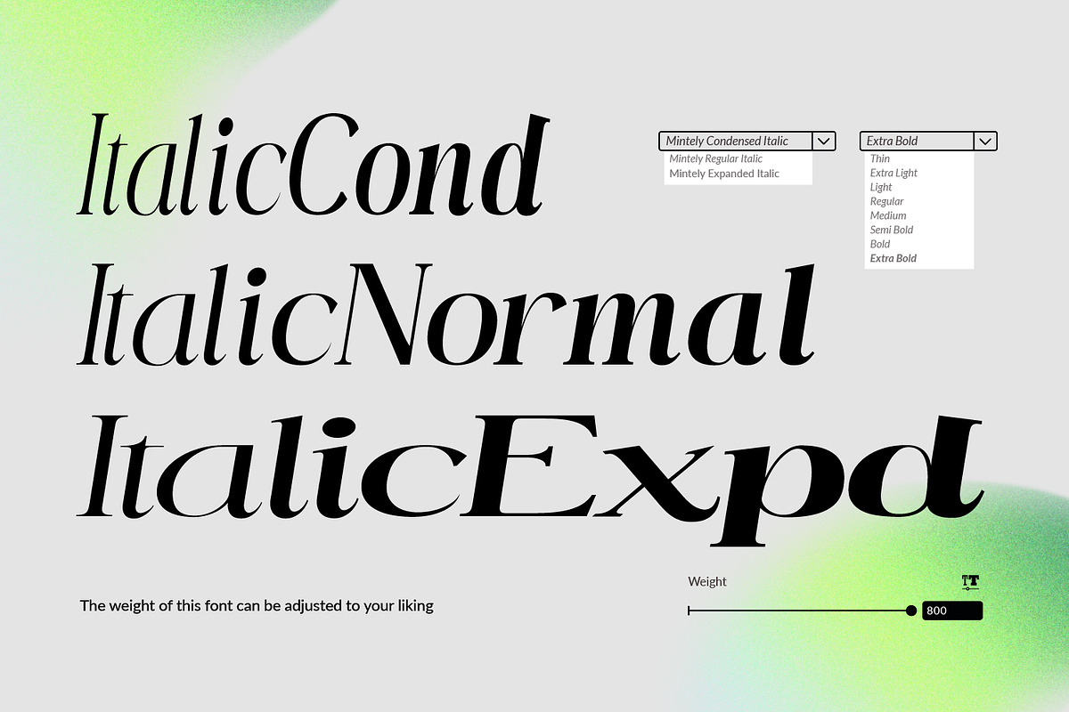Mintely, a Serif Font by din-studio.com (Photo 10 of 12)