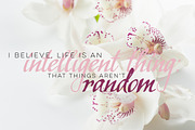 ArfaQuill Calligraphic Script, a Script Font by lissius (Thumbnail 4 of 9)
