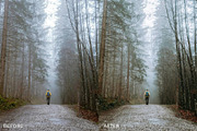 5 GREEN HIKING LIGHTROOM PRESETS, an Action Add-On by Emma Kate Creative (Thumbnail 8 of 10)