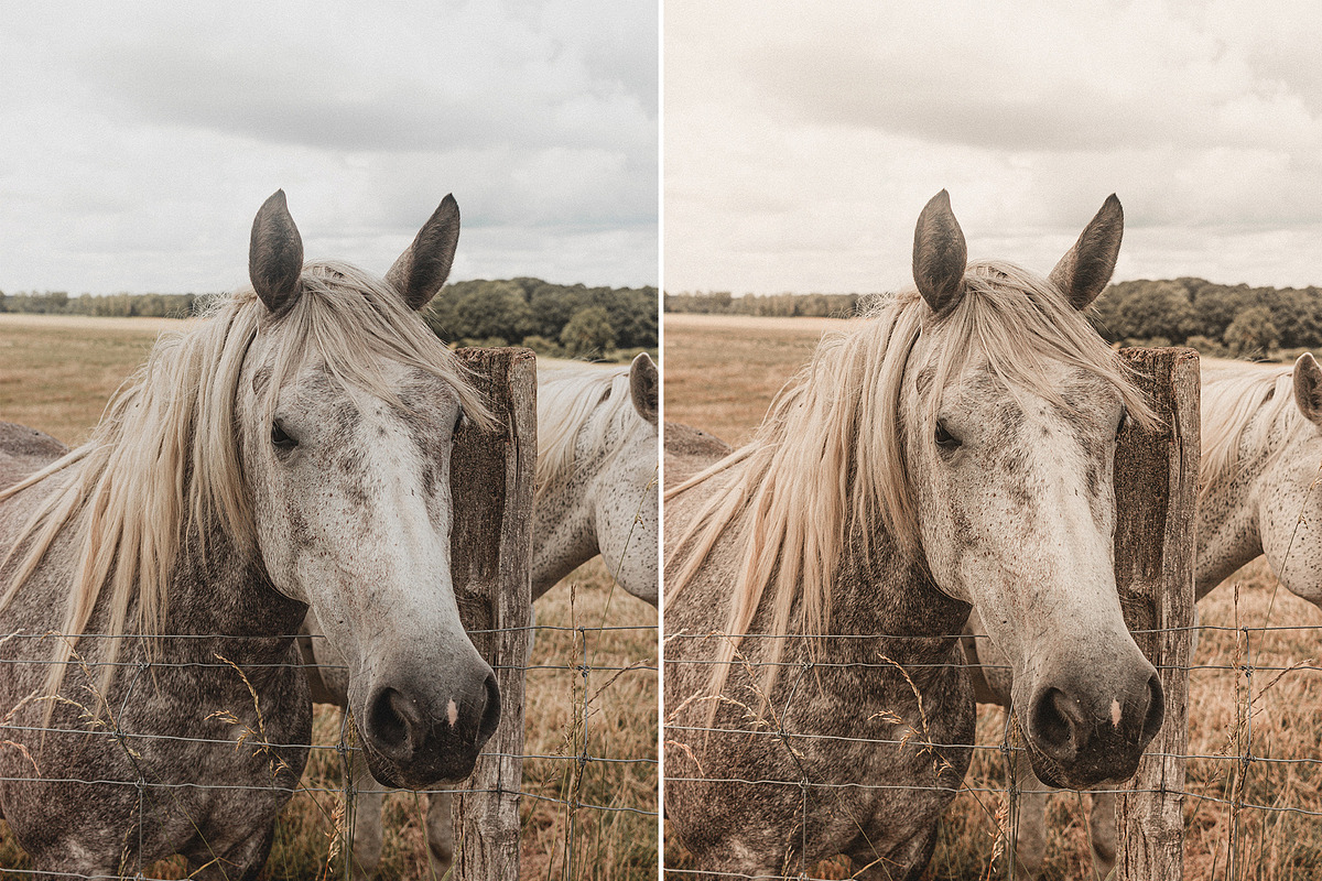 4 Vintage Warm Lightroom Presets, a Preset Add-On by Presets by Yevhen (Photo 10 of 11)