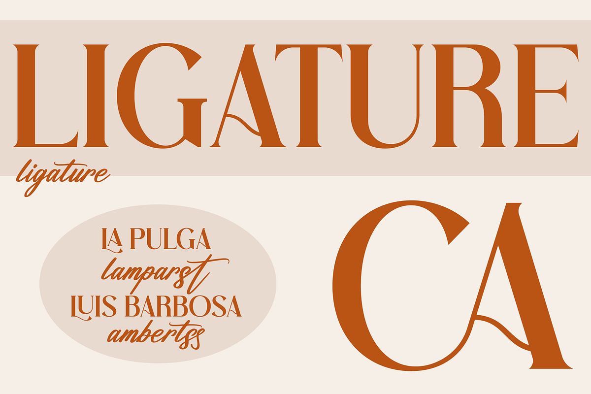 VIOLLEN Patricia Typeface Font Duo, a Serif Font by Storytype Studio (Photo 5 of 14)