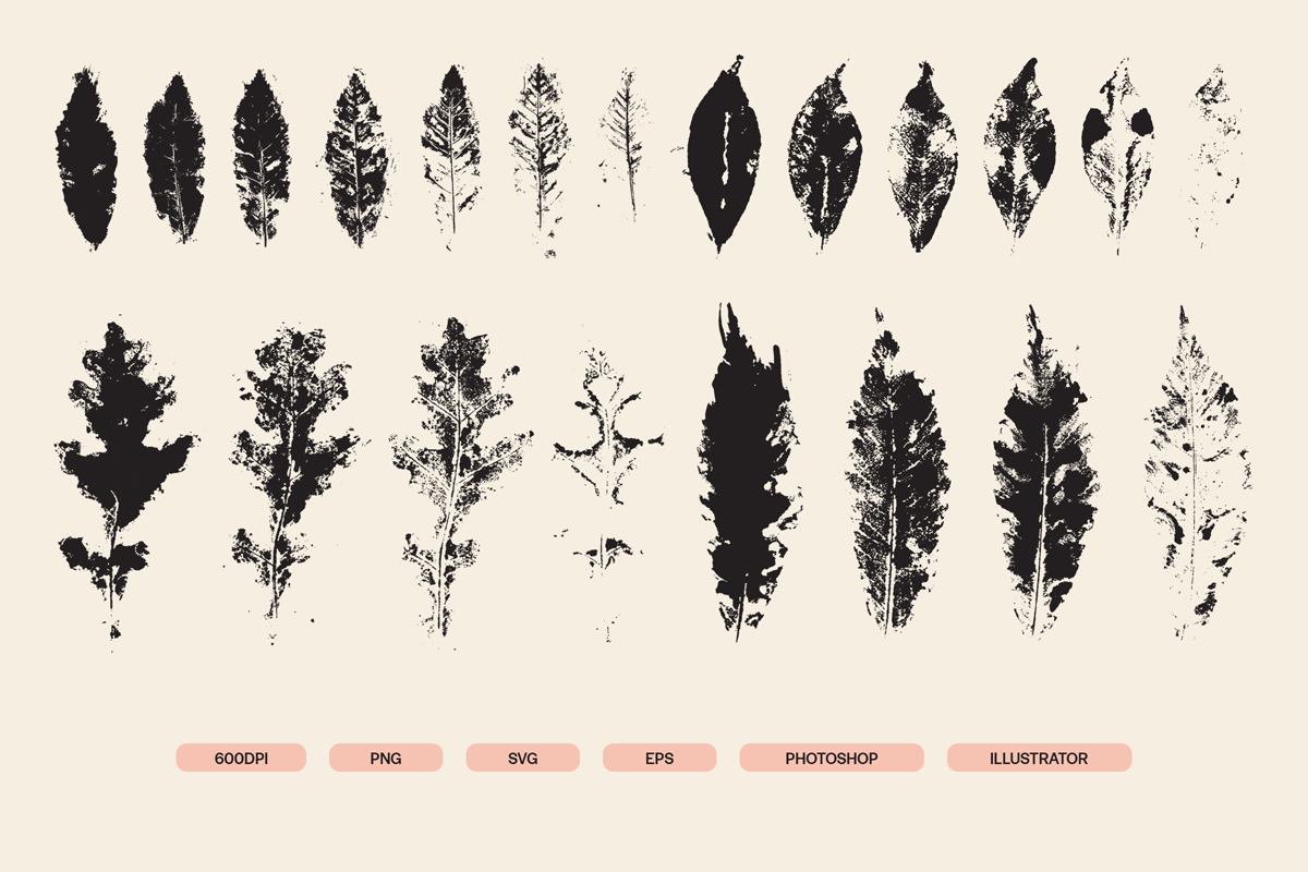 Stamped Prints of Leaves & Flowers, an Object Graphic by Yasir Ekinci (Photo 8 of 14)