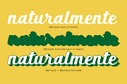 Bernyck Family, a Script Font by Eurotypo (Thumbnail 3 of 9)