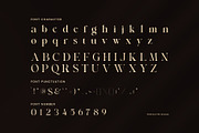 Angkle Elegant Serif Font, a Serif Font by Perfectype (Thumbnail 6 of 7)