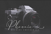 Qinarsi, a Script Font by Integritype Studio (Thumbnail 3 of 15)