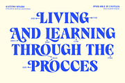 Gattino Spazio - Bold Serif Typeface, a Serif Font by Mbonster Design Studio (Thumbnail 9 of 20)