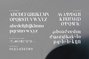 Glikema - Modern Elegant Serif, a Serif Font by TypeLogue (Thumbnail 5 of 5)