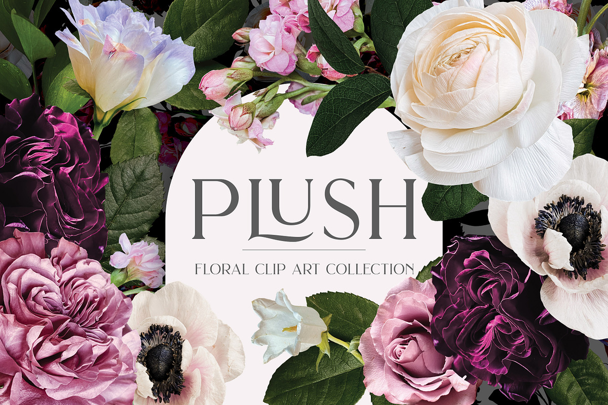 Plush Floral Clip Art, an Object Graphic by Eclectic Anthology (Photo 1 of 19)