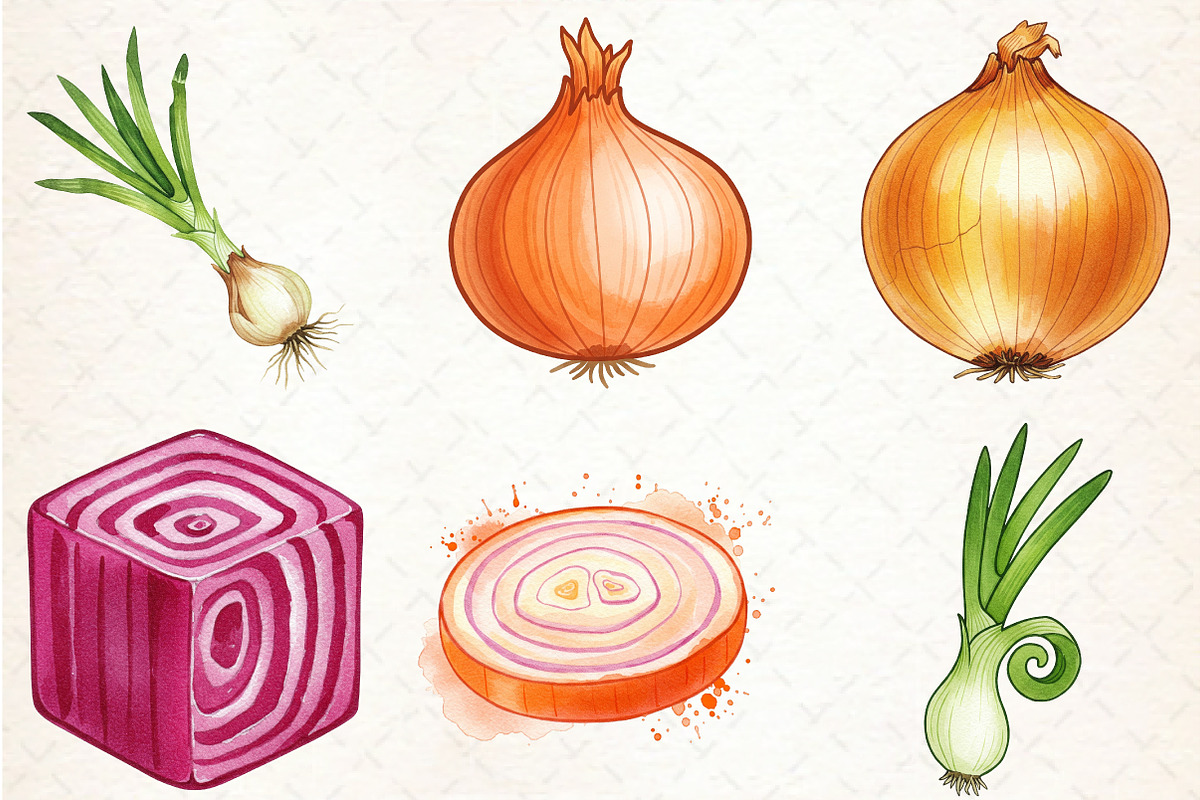 Watercolor Onion Clipart, an Illustration by Libby Wishes (Photo 3 of 6)