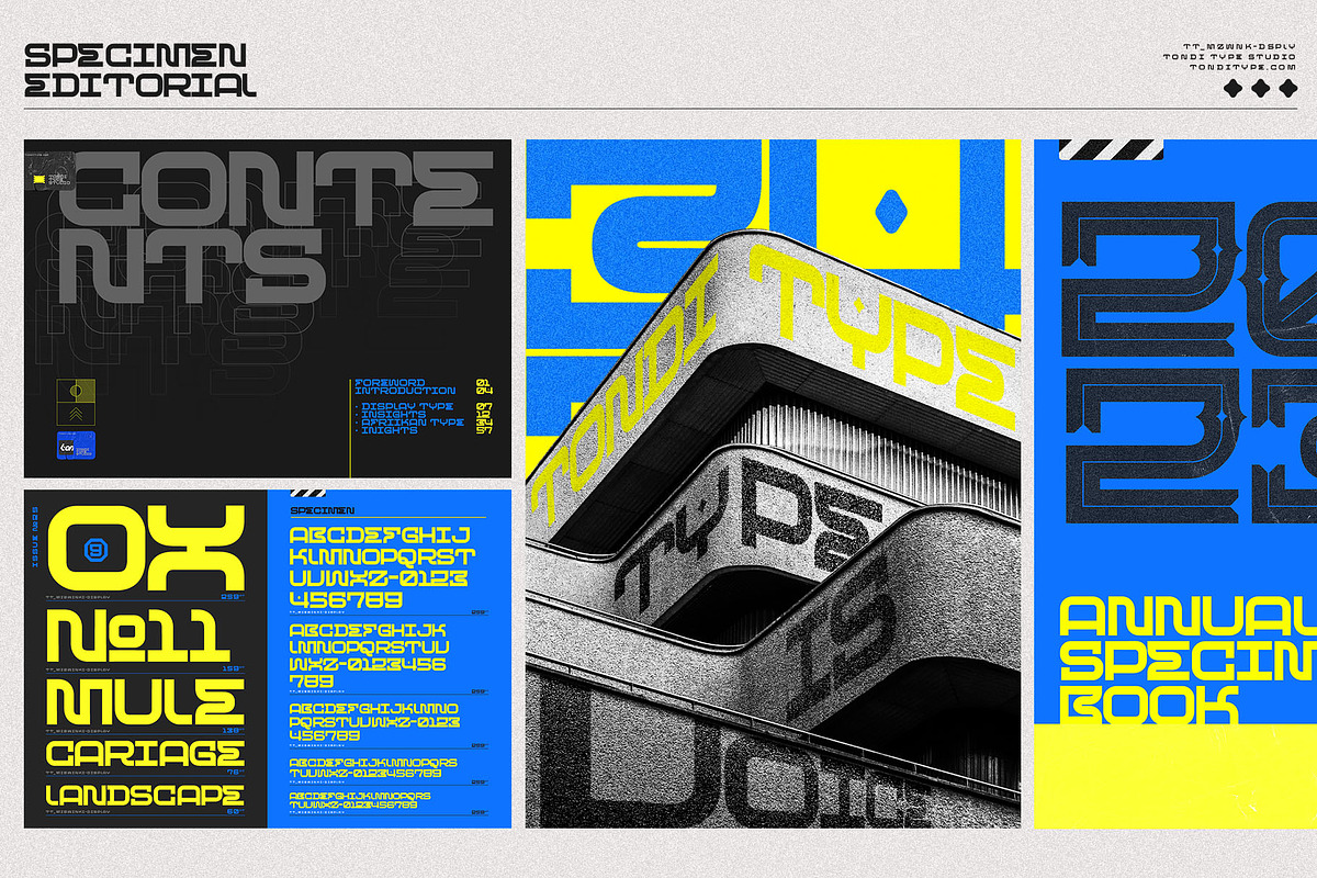 Mizwinki Display Font Family, a Sans Serif Font by Tondi Type Studio (Photo 9 of 12)