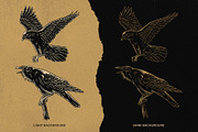 Crow Raven Illustrations pack, an Animal Illustration by Trape Graphic Studio (Thumbnail 5 of 7)