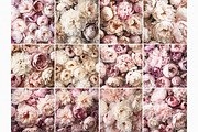 Soft Peonies, a Texture Graphic by rileyBgraphics (Thumbnail 2 of 7)