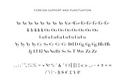 Levangery Typeface, a Serif Font by Alice_Evans (Thumbnail 4 of 12)