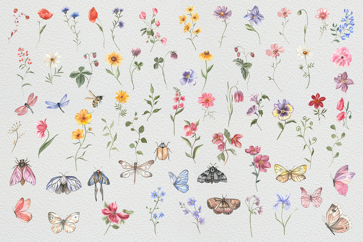 Field of wildflowers, an Object Illustration by ViolettaKh (Photo 4 of 12)