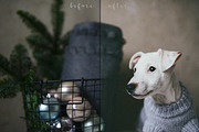 9 FILM presets for lightroom, a Preset Add-On by Trofimova Veronika (Thumbnail 5 of 8)