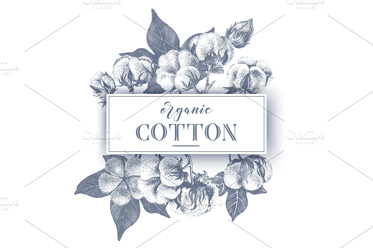 Cotton set, a Decorative Illustration by handsketched (Photo 13 of 15)