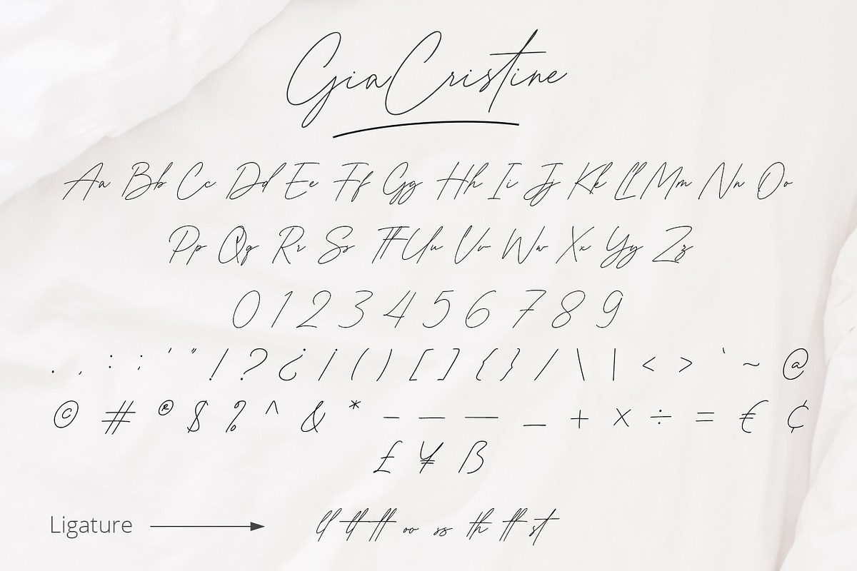 Gia Cristine -Elegant Signature Font, a Script Font by Alpaprana (Photo 8 of 9)