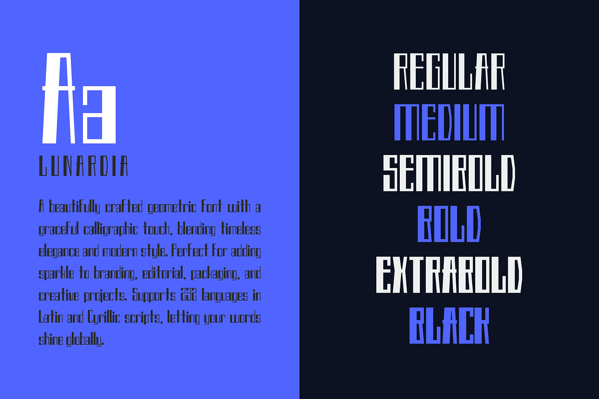 Lunardia Font Family (12 Fonts), a Sans Serif Font by alpercakici (Photo 12 of 18)