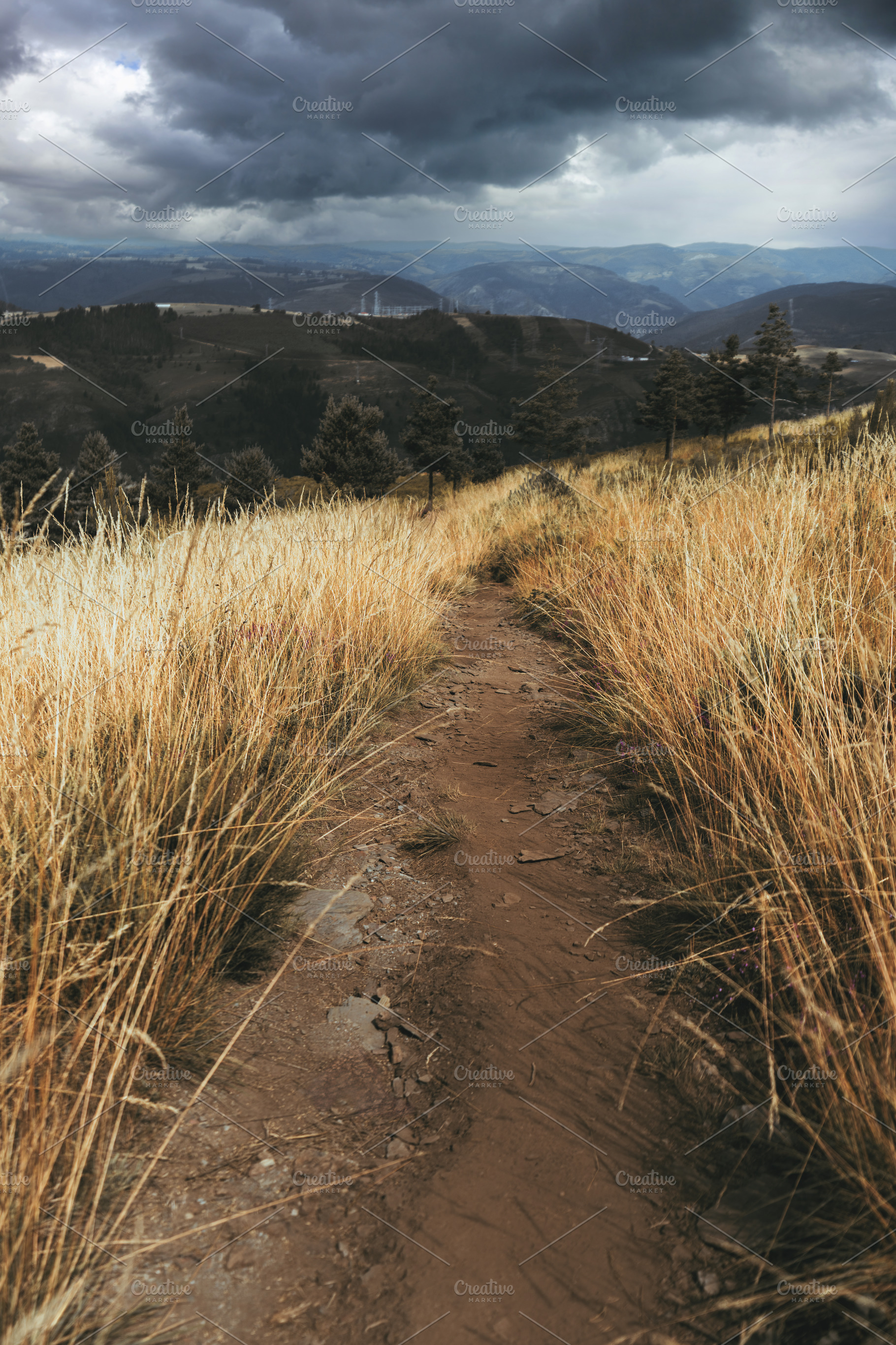 Mountain trail in tall grass, a Nature Photo by SkyNext