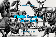 Wildlife Engraving Vector Pack, an Animal Illustration by Alternate Studio (Thumbnail 1 of 6)