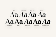Meganfolk Elegant Serif Family, a Serif Font by UICreative (Thumbnail 17 of 26)
