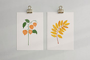 Autumn Fest, a Seasonal Illustration by Annakniaz (Thumbnail 11 of 16)