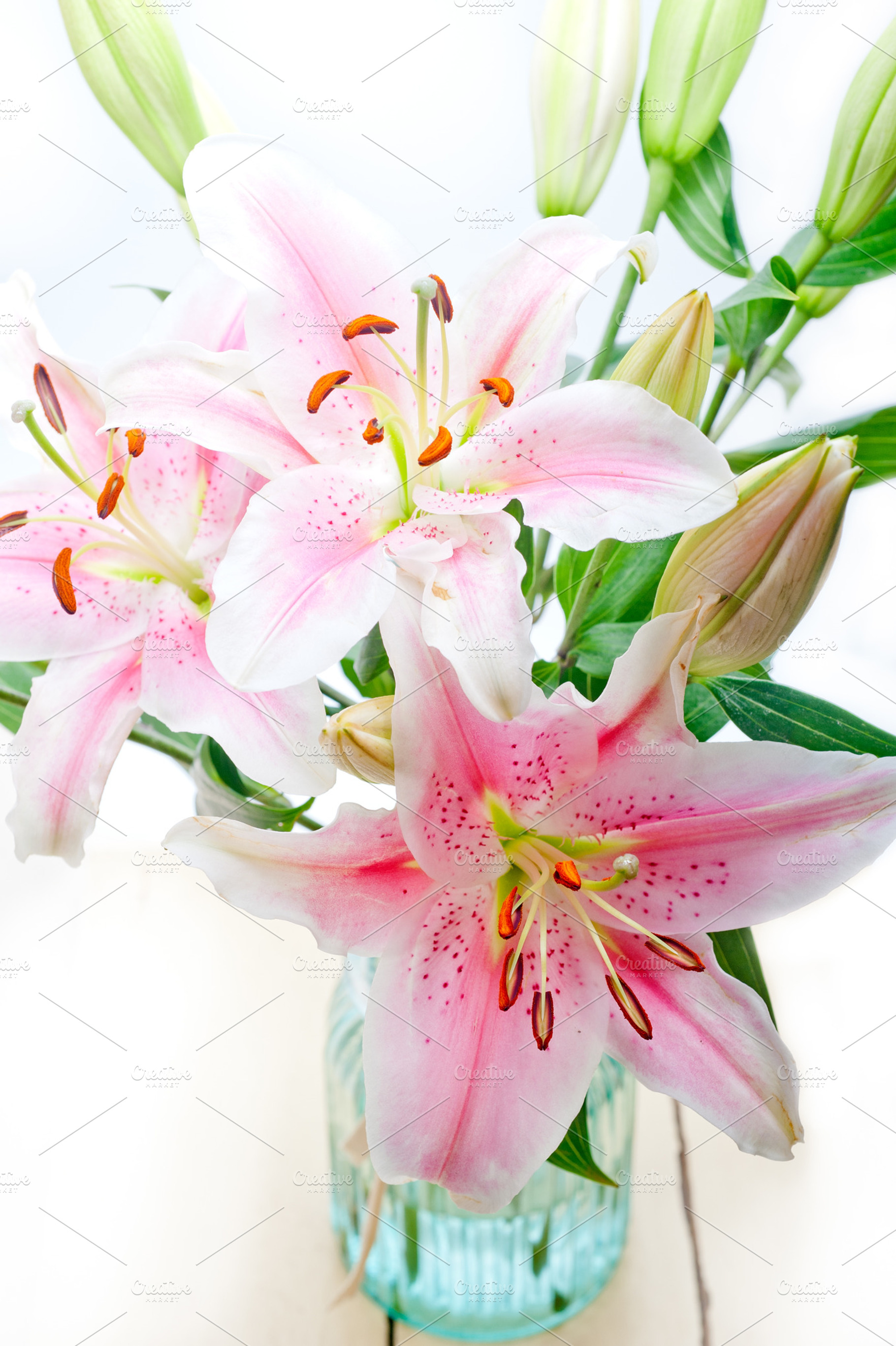 Lily flowers containing flower, white, and lily, a Nature Photo by keko64