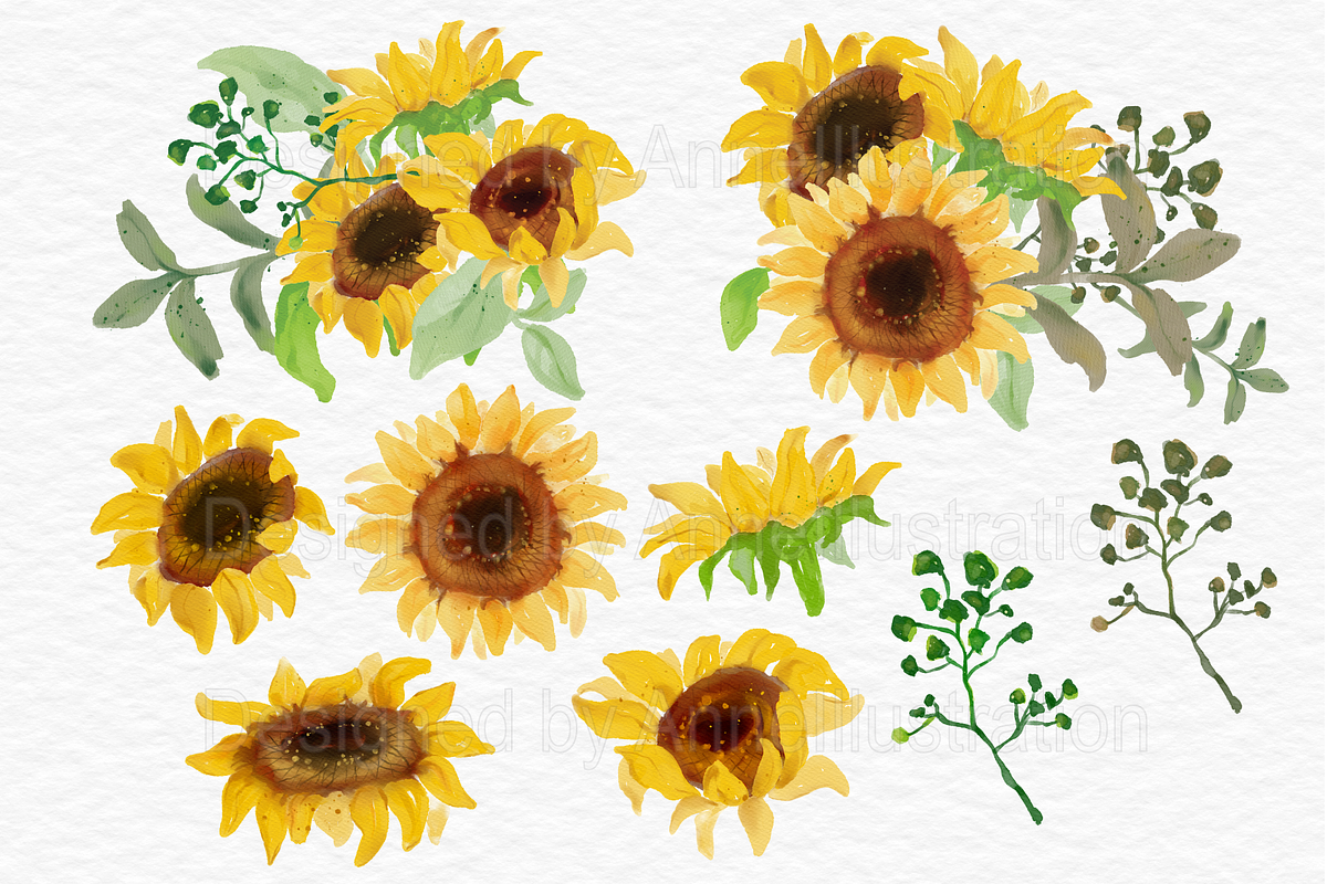 Watercolor Sunflowers Clipart, an Illustration by AnneIllustration (Photo 2 of 3)