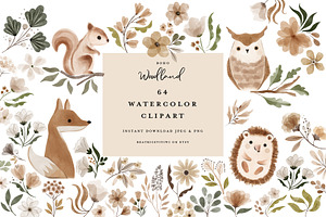 Watercolor woodland animal Clipart