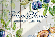 Blooming plum watercolor clipart, a Decorative Illustration by Eva Kleinman (Thumbnail 1 of 14)
