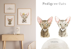 Feline Nature. Cat Portrait Creator