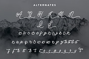 Folkestone - Modern Vintage Script, a Script Font by Arendxstudio (Thumbnail 10 of 10)