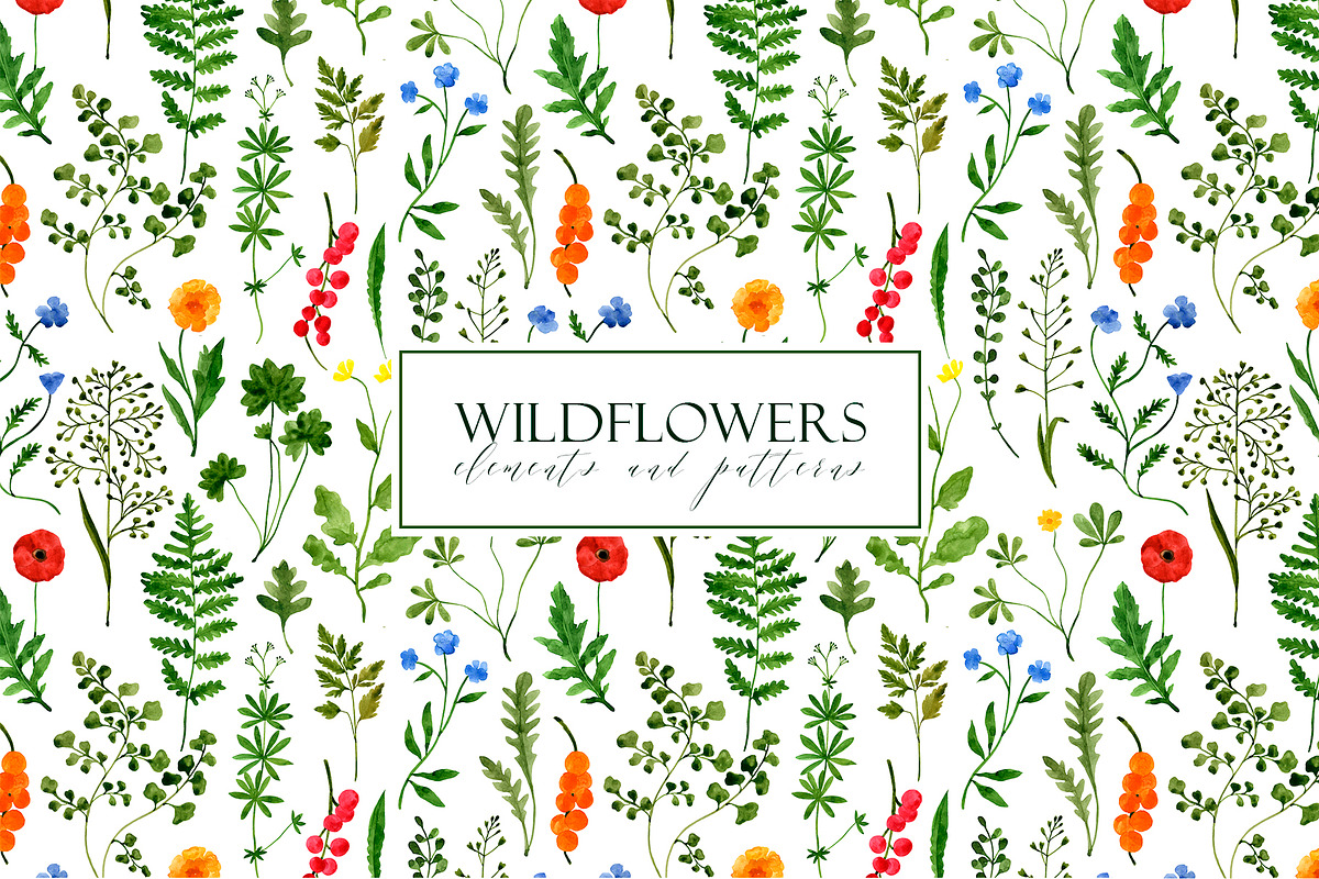 WILDFLOWERS Watercolor Set, a Pattern Graphic by Katerina Osa (Photo 1 of 12)