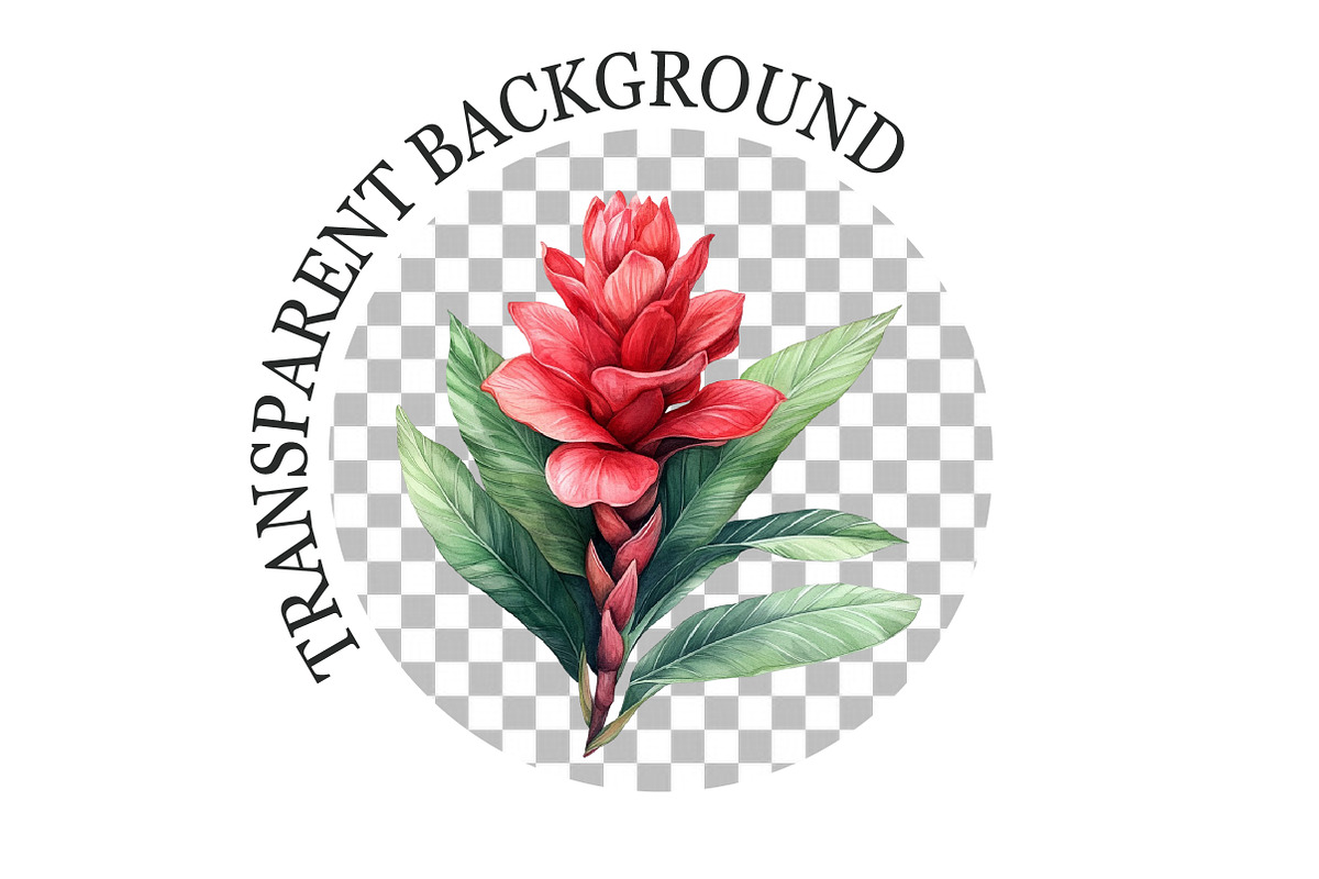 Watercolor Tropical Flowers Clipart, a Seasonal Illustration by Rose Art (Photo 5 of 6)