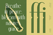 Classic Makore Modern Serif Font, a Serif Font by timelesstype.co (Thumbnail 3 of 20)