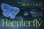 Erendela Stylish Serif Font, a Font by Vadovastd (Thumbnail 3 of 7)