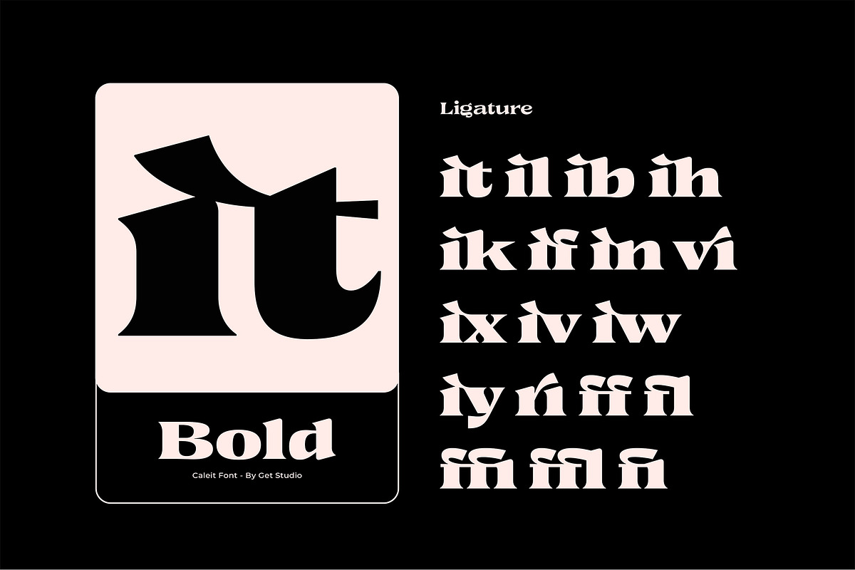 Caleit - Variable Font, a Serif Font by Get Studio (Photo 3 of 20)