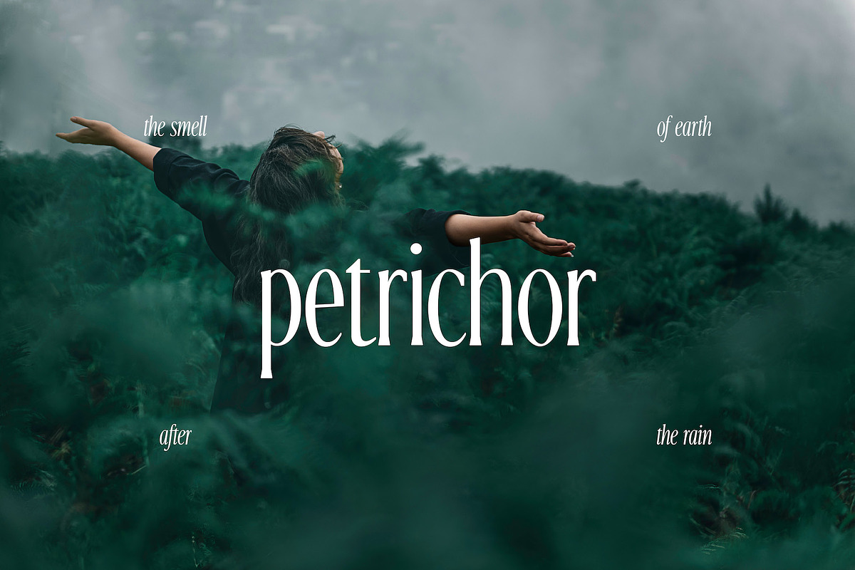 Keizer – Modern & Condensed Serif, a Serif Font by Local Desk Designstudio (Photo 19 of 23)