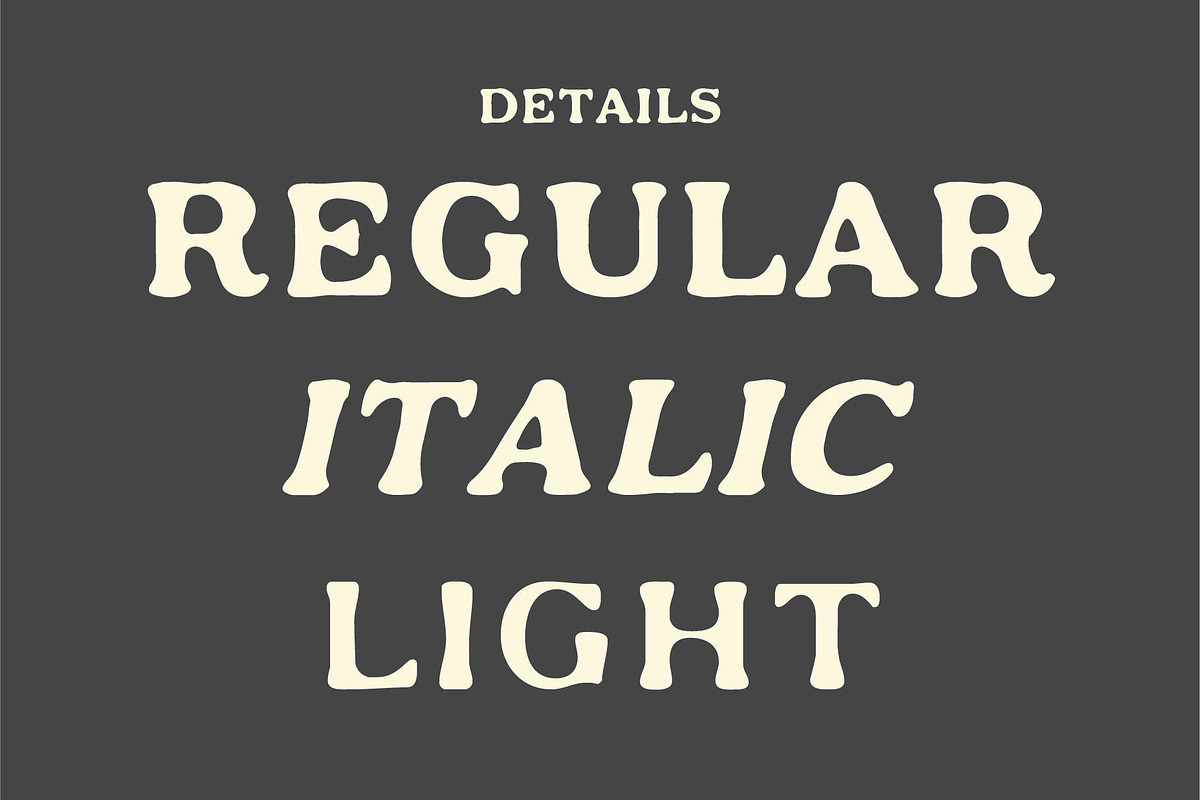 Marhaen - Vintage Slab Serif, a Slab Serif Font by Rusted Works (Photo 2 of 8)