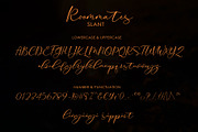 Roommates Script (Reguler & Slant), a Script Font by Jhoel Design (Thumbnail 14 of 16)