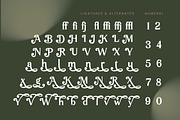 Arguys Regret Display Serif Font, a Serif Font by timelesstype.co (Thumbnail 18 of 20)