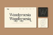 Wondernesia Nostalgic & Modern Serif, a Serif Font by Lettertype Studio (Thumbnail 10 of 15)